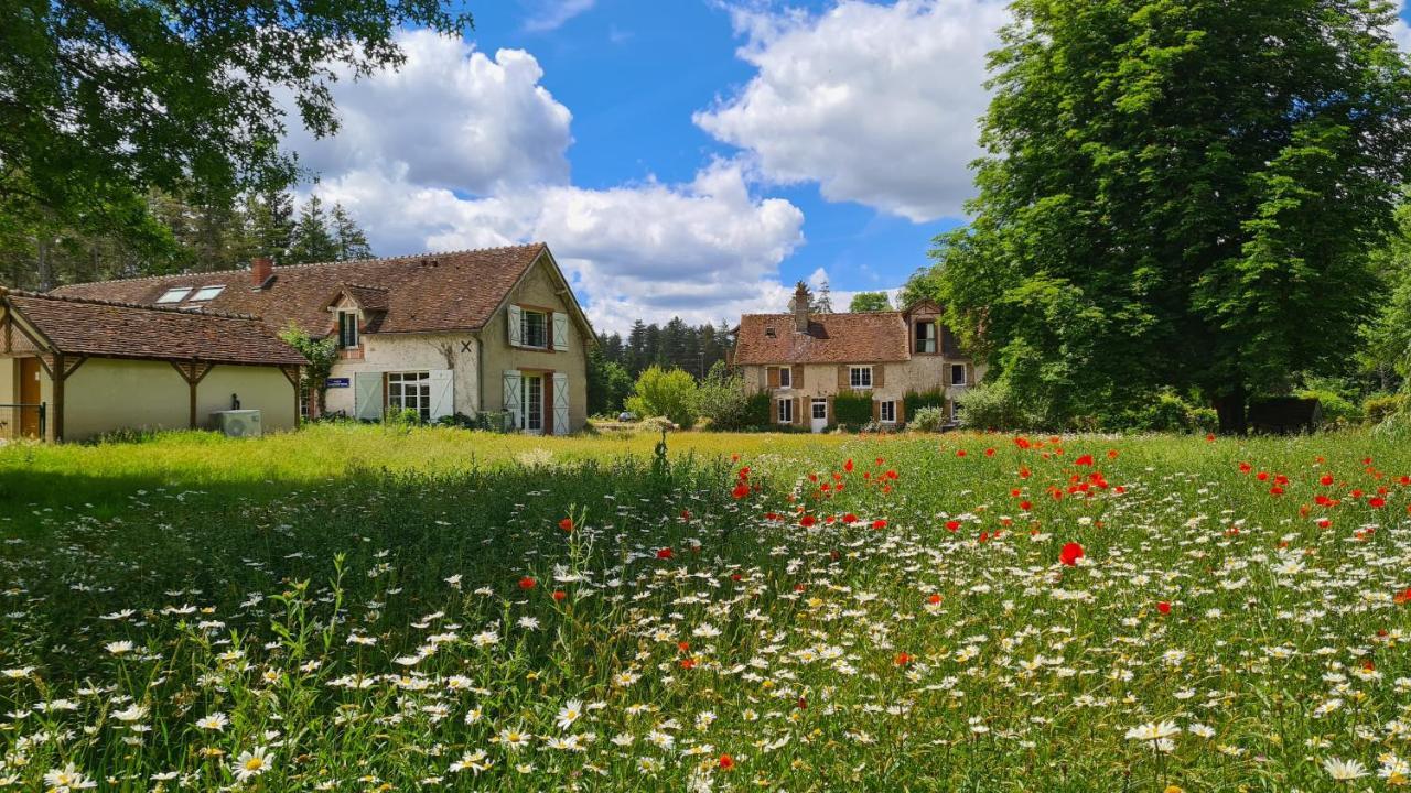 Chambres D'Hotes Le Moulin De Crouy 외부 사진